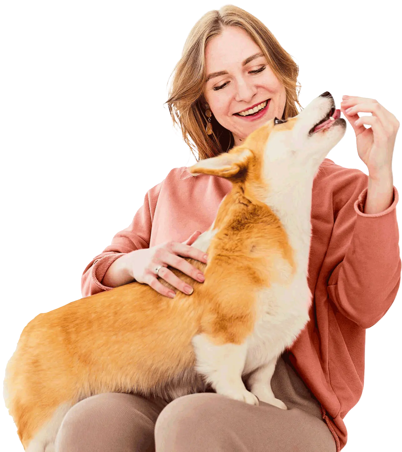 Vet Norte - Clínica Veterinária